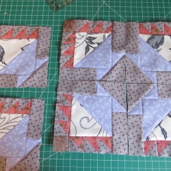 6 done but one of them has to be frogged.