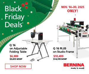 3 MONTHLY LEARN BERNINA-237x154 Longarms Black Friday ENDS 11/30