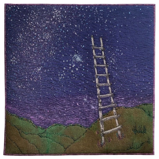 ladder to the stars 2 jenny perry