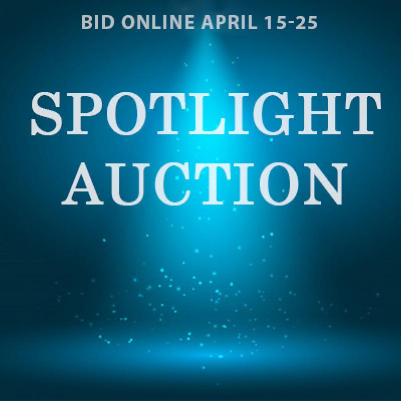 saqa-2026-spotlight-auction.jpg