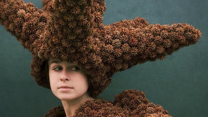 Melissa Meier Transforms Nature Into Art (Photo - Sweet Gum Balls by Melissa Meier)