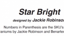 Star Bright Fabric and Tool Requirements