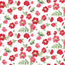 Berry Sweet Y4352-1 White