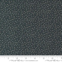 Blackbirds Nest 9757 19 Black