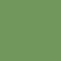 Century Solids CS-10 Pickle