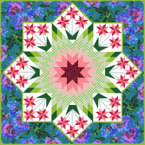 Star Bright Quilt Kit