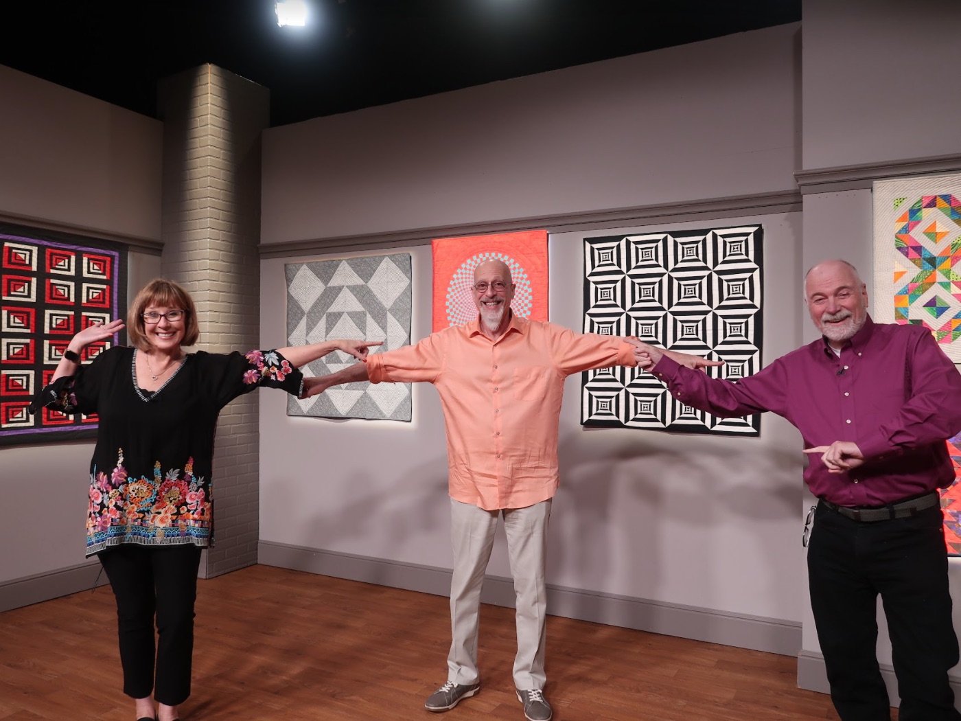 Watch Quilt Shows and Quilting Videos Online - Learn Paper Piecing with the  Maven, David Sirota | Adapting Your Studio For Change with Lilo Bowman